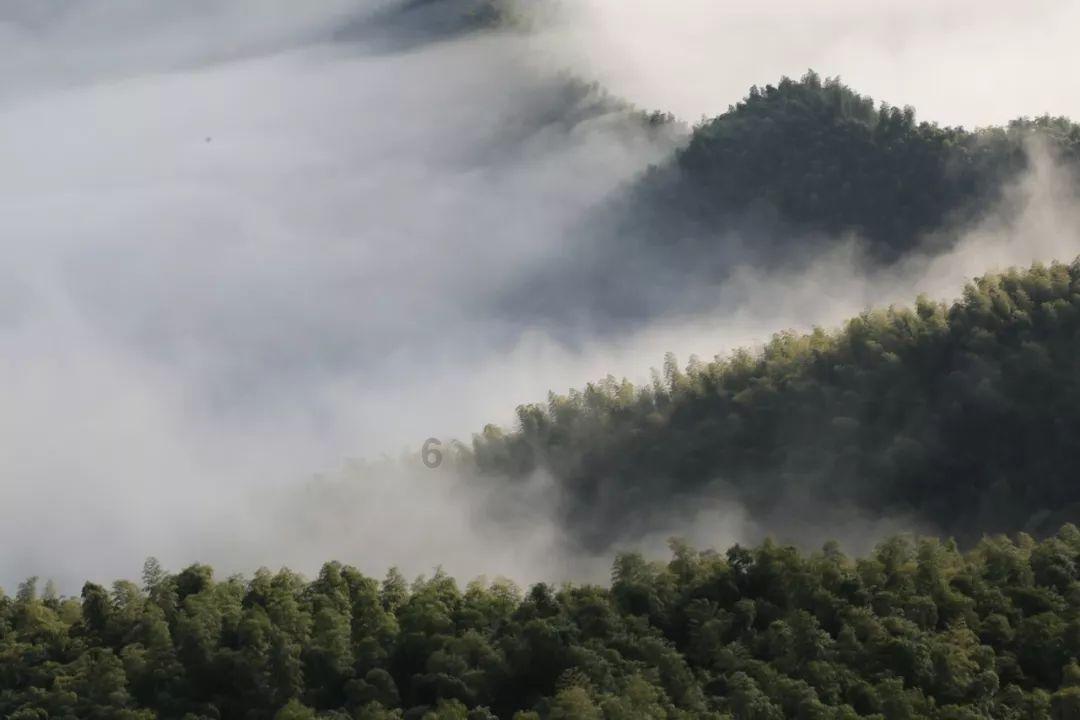 侦察英雄:两极分化的故事
