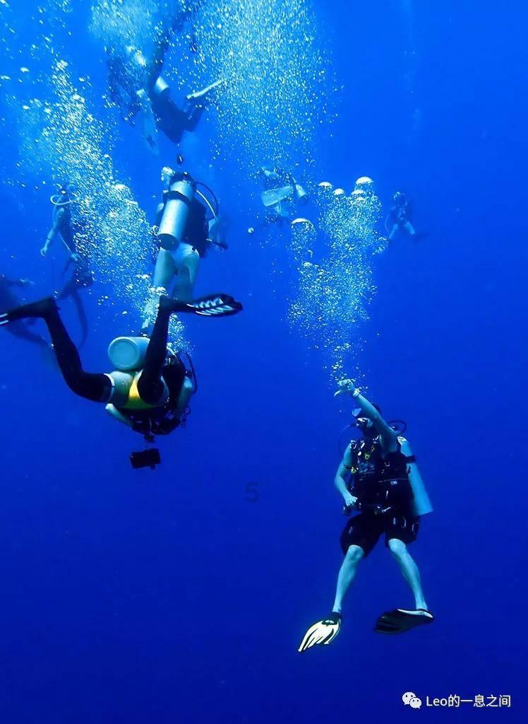 流星蝴蝶剑