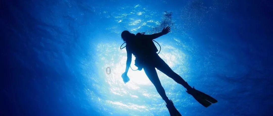 狮子座女生怎么追游戏画面